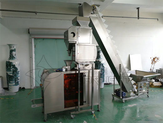 粉劑獸藥自動化包裝機-粉劑獸藥包裝生產線廠家實拍